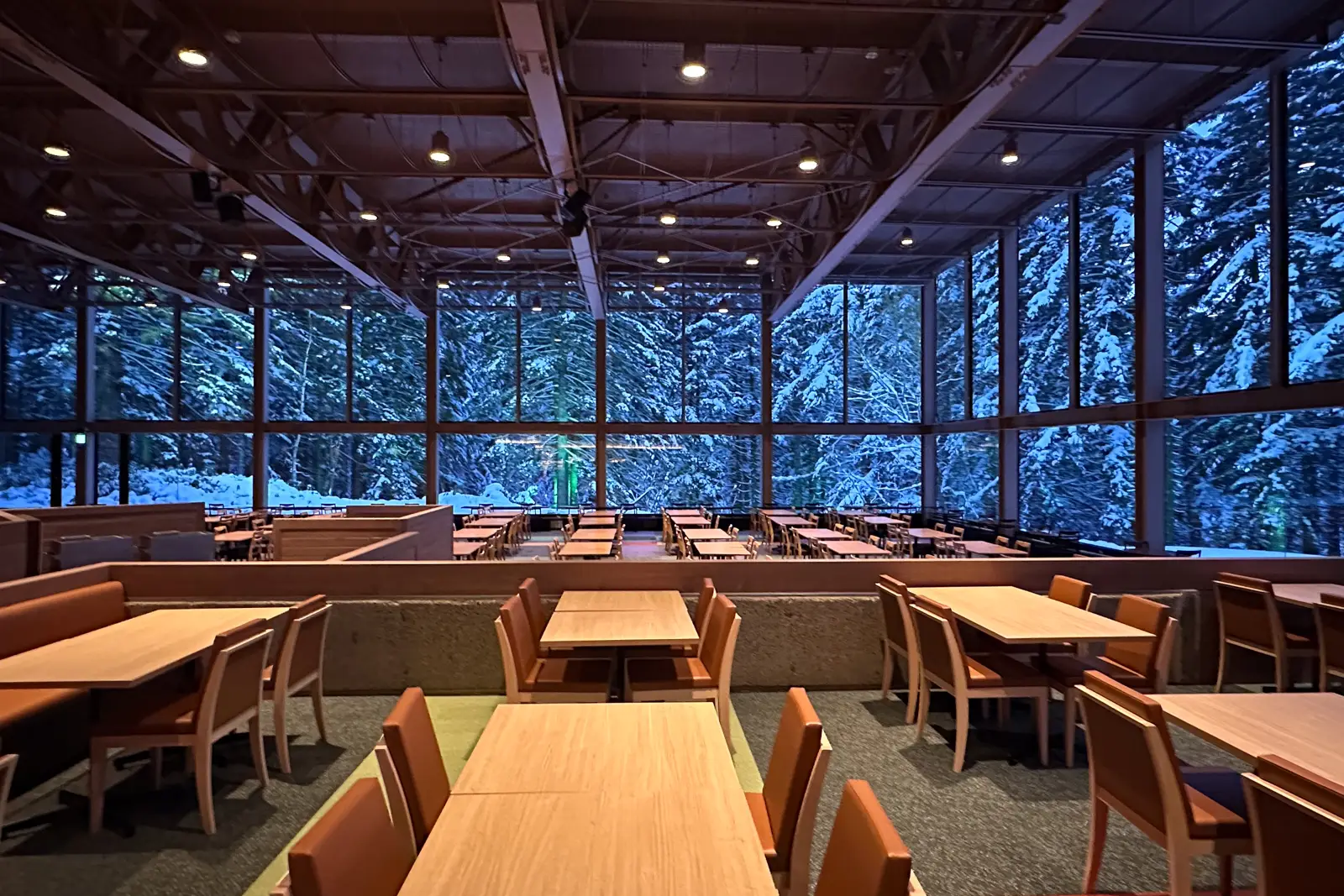 トマムスキーイン／アウトヴィレッジ：レストラン ニニヌプリの写真 10