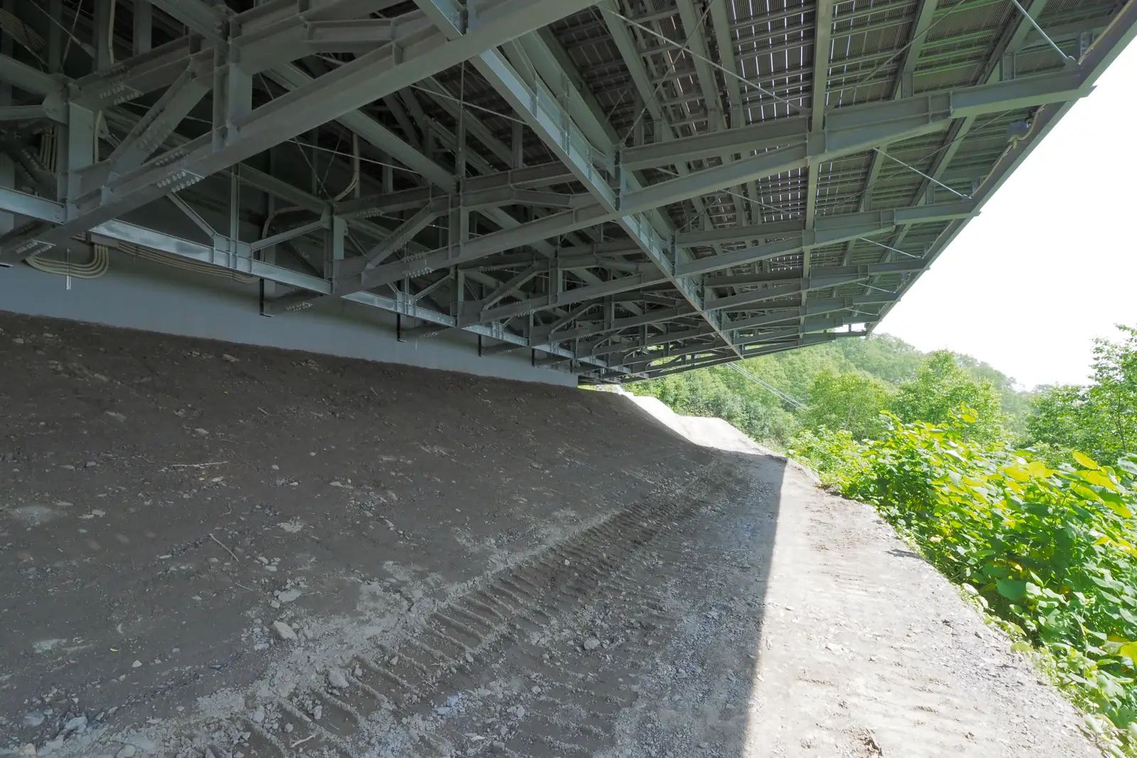 トマムリゾート雲海テラス: 新デッキテラス「雲cafe」の写真 27