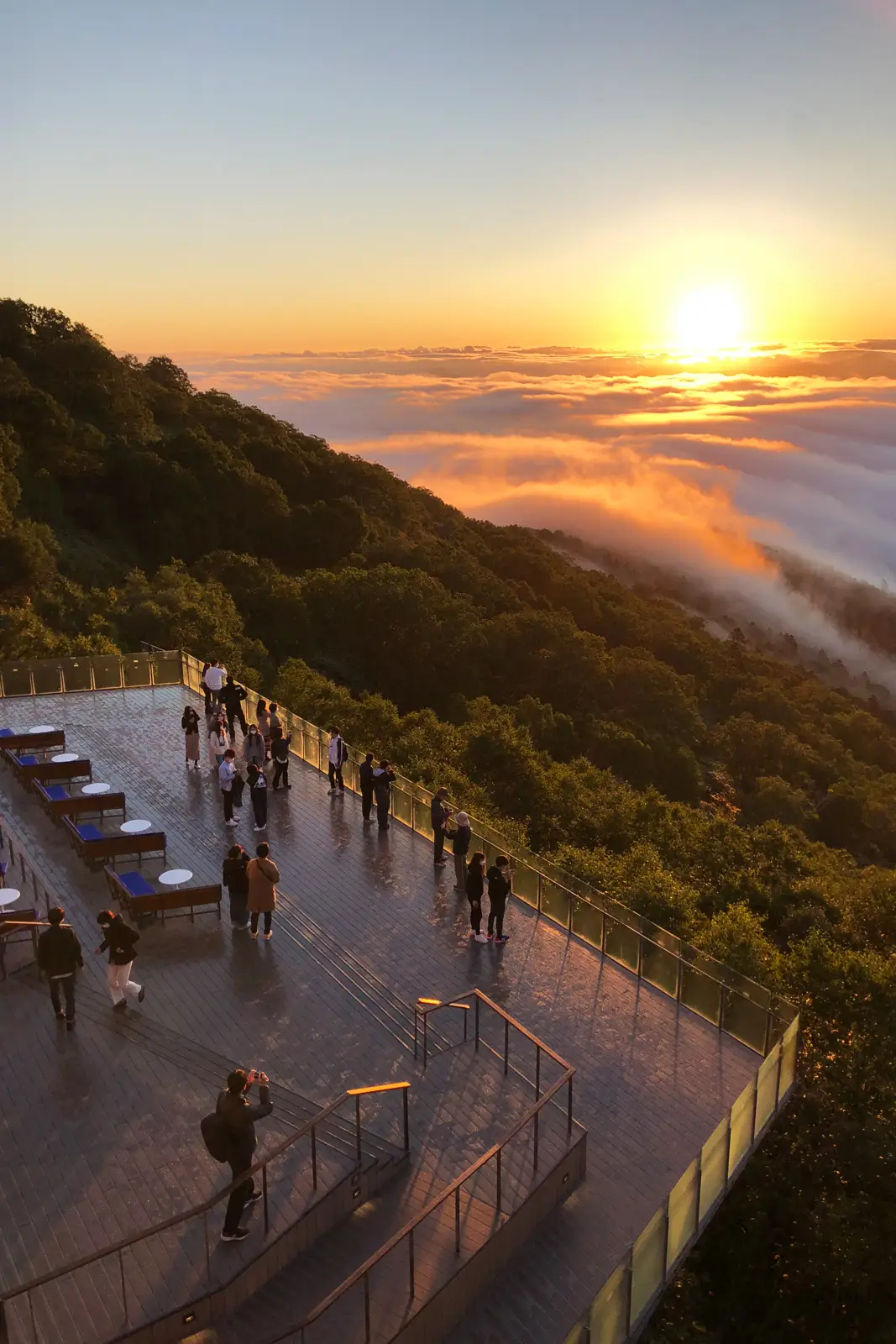 トマムリゾート雲海テラス: 新デッキテラス「雲cafe」の写真 29